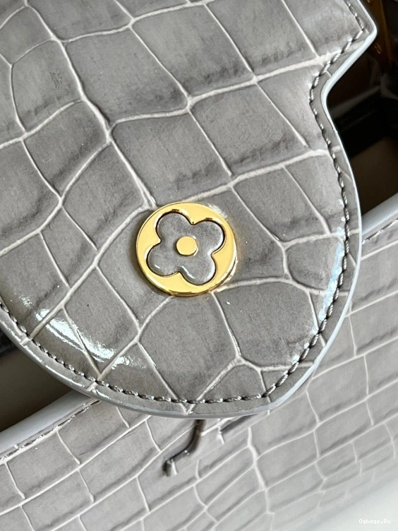 VUITTON BB CAPUCINES LOUIS 0404